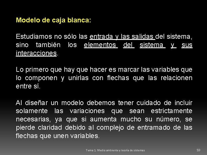 Modelo de caja blanca: Estudiamos no sólo las entrada y las salidas del sistema,