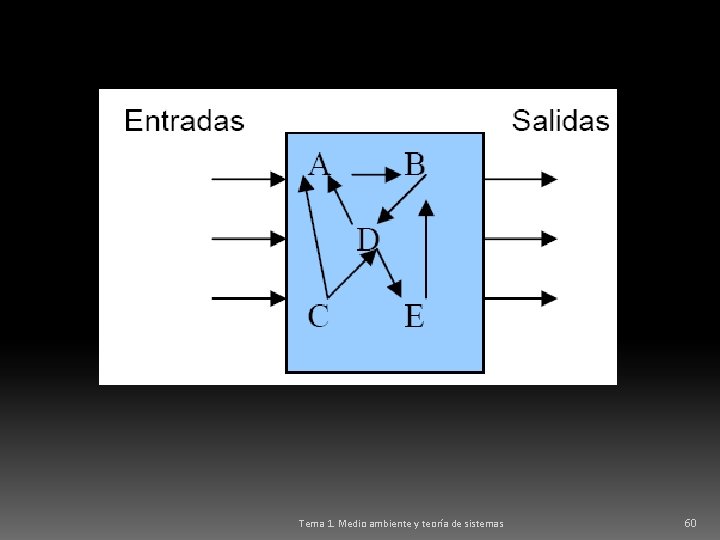 Tema 1. Medio ambiente y teoría de sistemas 60 