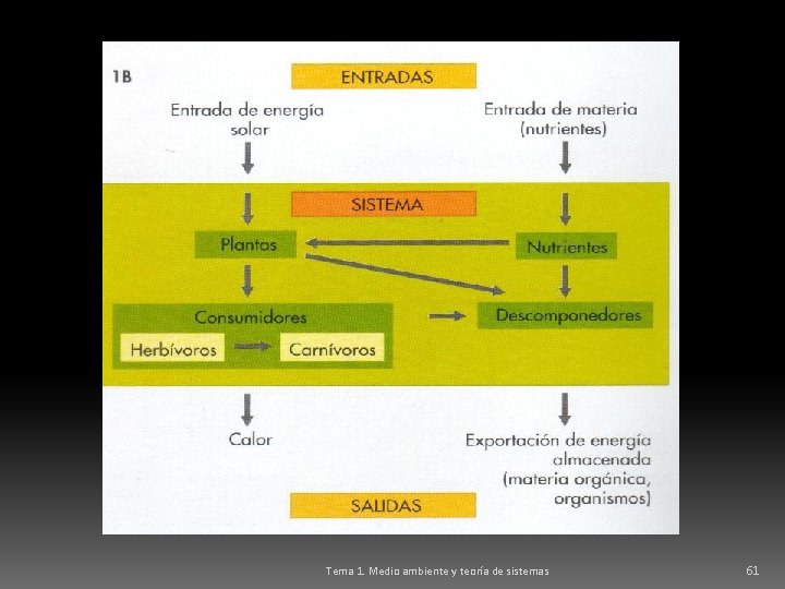 Tema 1. Medio ambiente y teoría de sistemas 61 