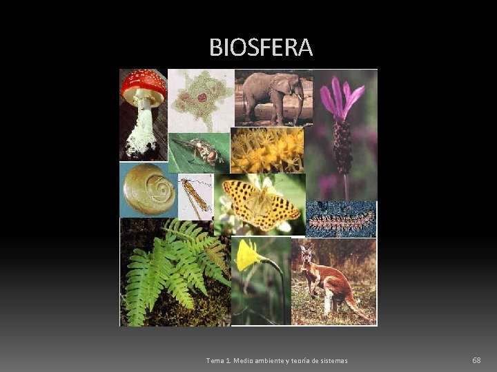 BIOSFERA Tema 1. Medio ambiente y teoría de sistemas 68 