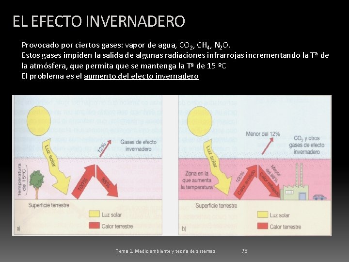 EL EFECTO INVERNADERO Provocado por ciertos gases: vapor de agua, CO 2, CH 4,