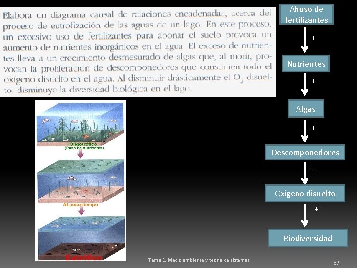 Abuso de fertilizantes + Nutrientes + Algas + Descomponedores Oxígeno disuelto + Biodiversidad Tema