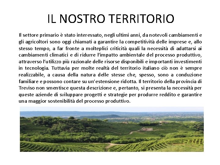 IL NOSTRO TERRITORIO Il settore primario è stato interessato, negli ultimi anni, da notevoli