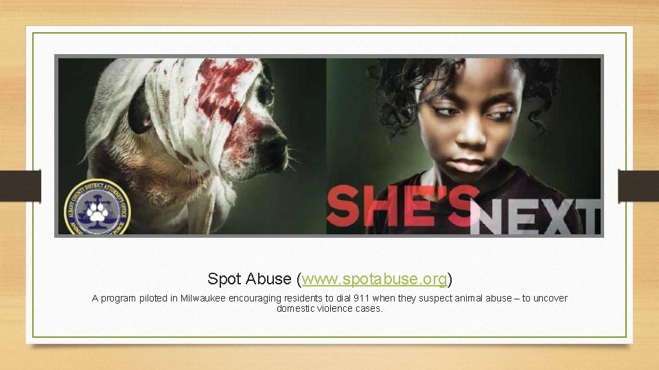 Spot Abuse (www. spotabuse. org) A program piloted in Milwaukee encouraging residents to dial