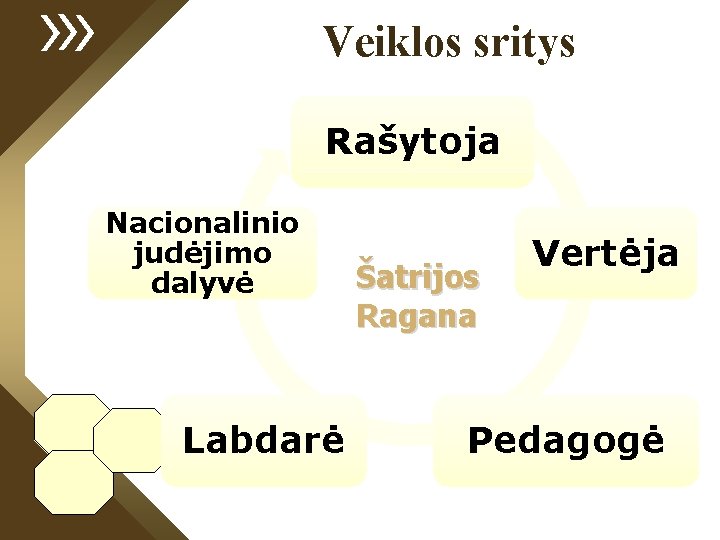 Veiklos sritys Rašytoja Nacionalinio judėjimo dalyvė Labdarė Šatrijos Ragana Vertėja Pedagogė 