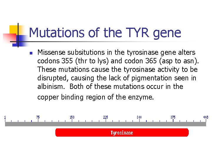 Mutations of the TYR gene n Missense subsitutions in the tyrosinase gene alters codons