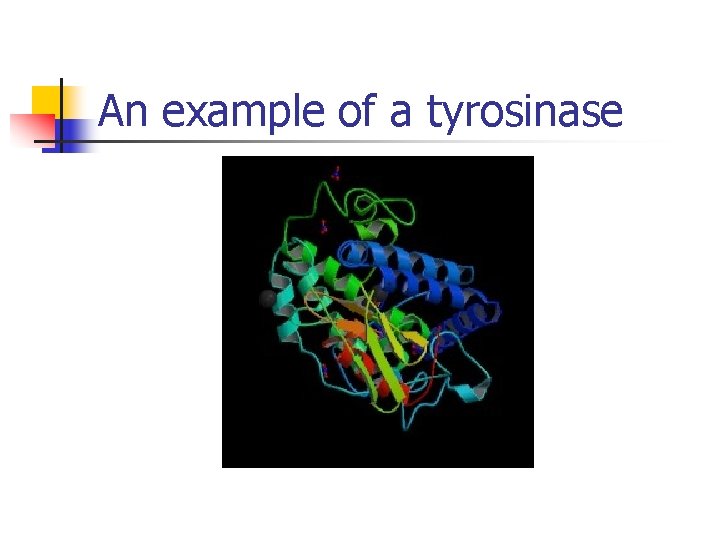 An example of a tyrosinase 