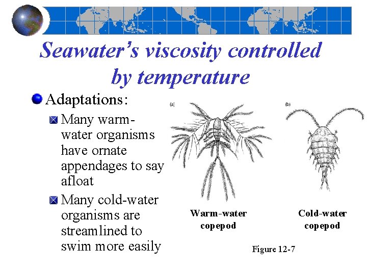 Seawater’s viscosity controlled by temperature Adaptations: Many warmwater organisms have ornate appendages to say Seawater’s viscosity controlled by temperature Adaptations: Many warmwater organisms have ornate appendages to say