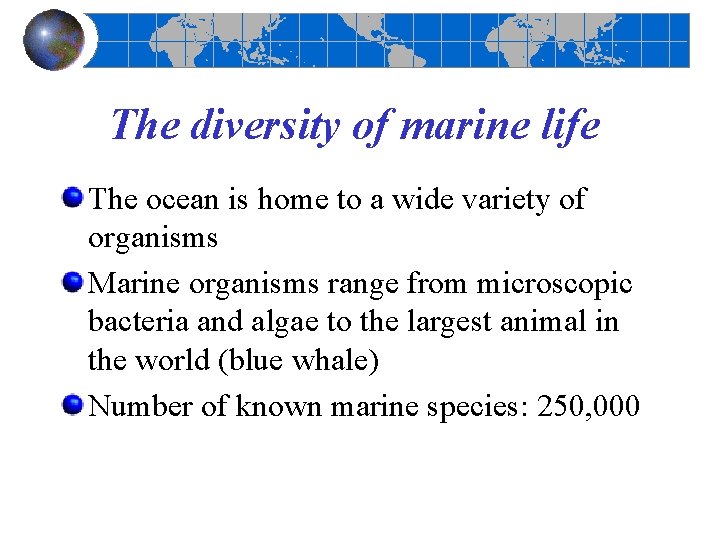 The diversity of marine life The ocean is home to a wide variety of The diversity of marine life The ocean is home to a wide variety of