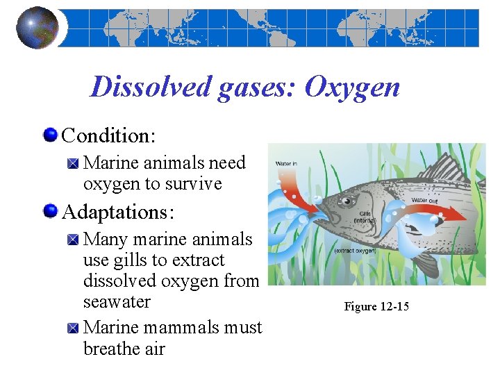 Dissolved gases: Oxygen Condition: Marine animals need oxygen to survive Adaptations: Many marine animals Dissolved gases: Oxygen Condition: Marine animals need oxygen to survive Adaptations: Many marine animals