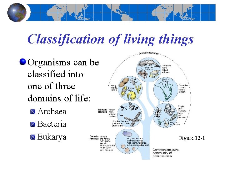 Classification of living things Organisms can be classified into one of three domains of Classification of living things Organisms can be classified into one of three domains of