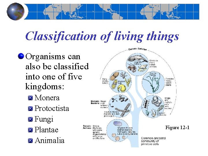 Classification of living things Organisms can also be classified into one of five kingdoms: Classification of living things Organisms can also be classified into one of five kingdoms:
