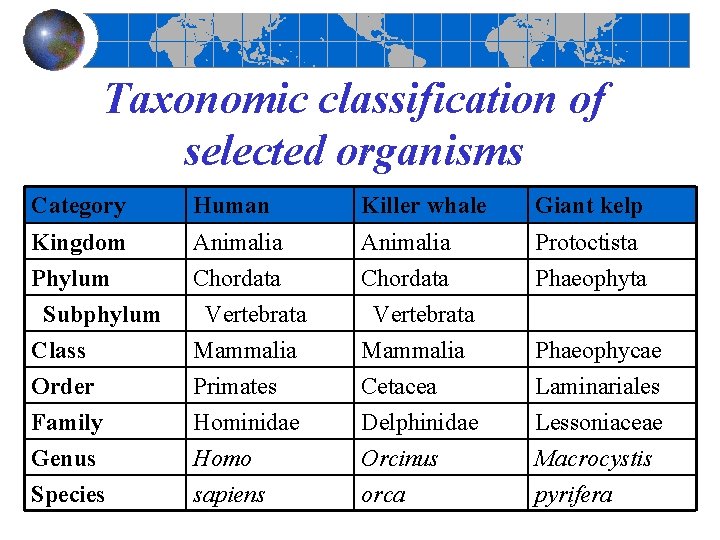 Taxonomic classification of selected organisms Category Human Killer whale Giant kelp Kingdom Phylum Subphylum Taxonomic classification of selected organisms Category Human Killer whale Giant kelp Kingdom Phylum Subphylum