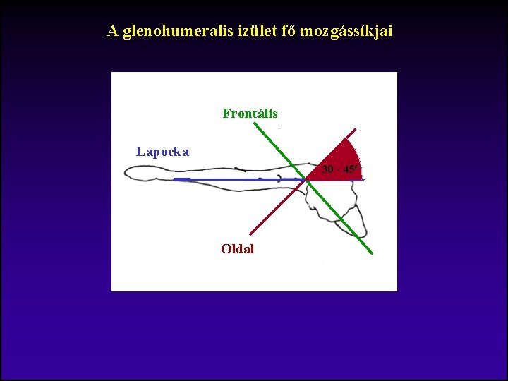 A glenohumeralis izület fő mozgássíkjai Frontális Lapocka 30 - 45° Oldal 
