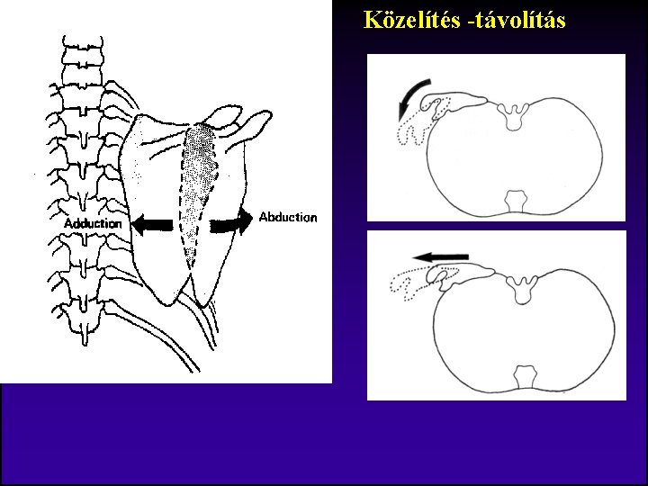 Közelítés -távolítás 