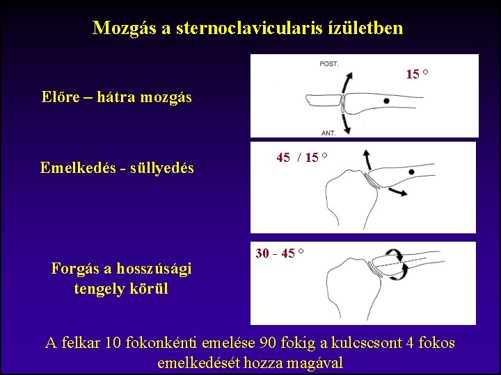 Mozgás a sternoclavicularis ízületben 15 ° Előre – hátra mozgás Emelkedés - süllyedés Forgás
