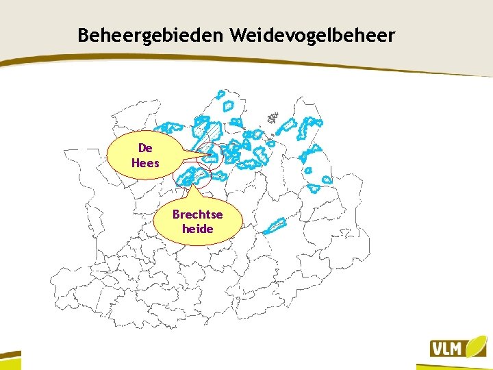 Beheergebieden Weidevogelbeheer De Hees Brechtse heide 