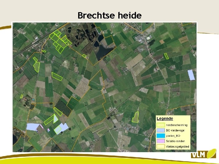 Brechtse heide 
