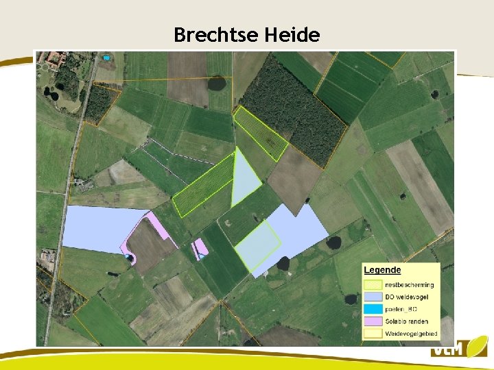 Brechtse Heide 