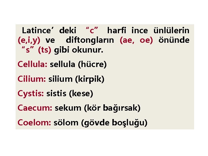 Latince’deki “c” harfi ince ünlülerin (e, i, y) ve diftongların (ae, oe) önünde “s”(ts)