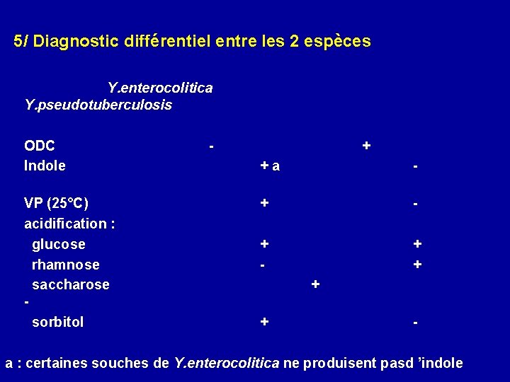 5/ Diagnostic différentiel entre les 2 espèces Y. enterocolitica Y. pseudotuberculosis ODC Indole -