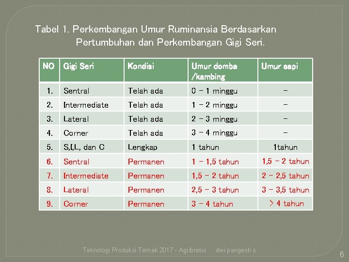 Tabel 1. Perkembangan Umur Ruminansia Berdasarkan Pertumbuhan dan Perkembangan Gigi Seri. NO Gigi Seri