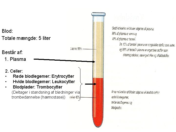 Blod: Totale mængde: 5 liter Består af: 1. Plasma 2. Celler: • Røde blodlegemer: