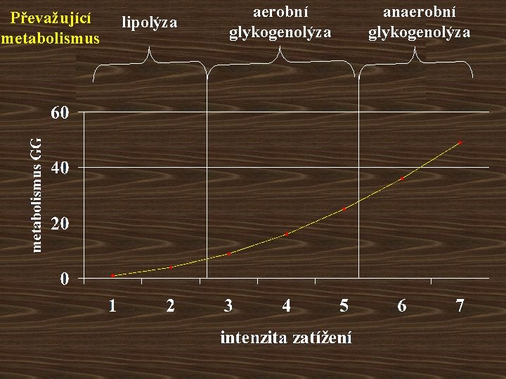 Převažující metabolismus lipolýza aerobní glykogenolýza anaerobní glykogenolýza 