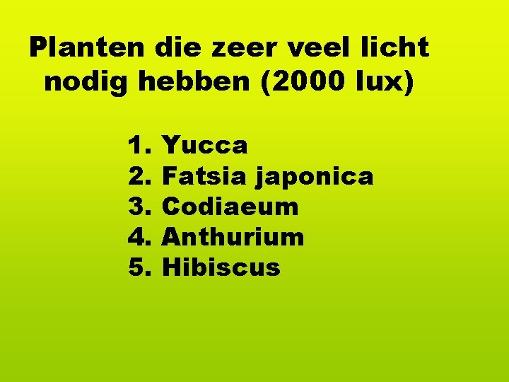 Planten die zeer veel licht nodig hebben (2000 lux) 1. 2. 3. 4. 5.