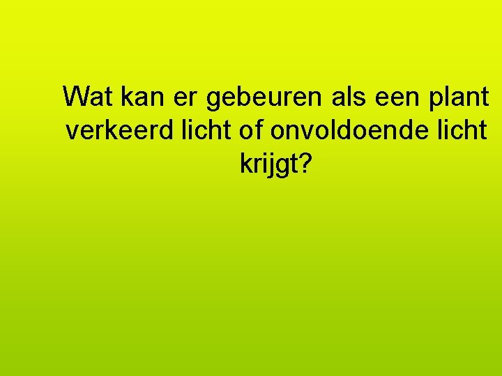 Wat kan er gebeuren als een plant verkeerd licht of onvoldoende licht krijgt? 