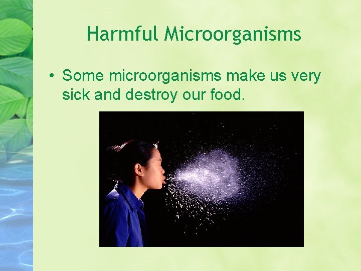 Harmful Microorganisms • Some microorganisms make us very sick and destroy our food. 
