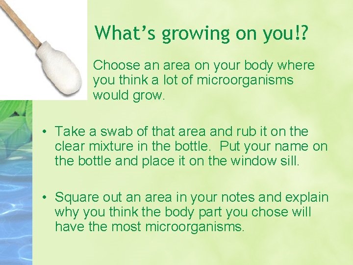 What’s growing on you!? • Choose an area on your body where you think