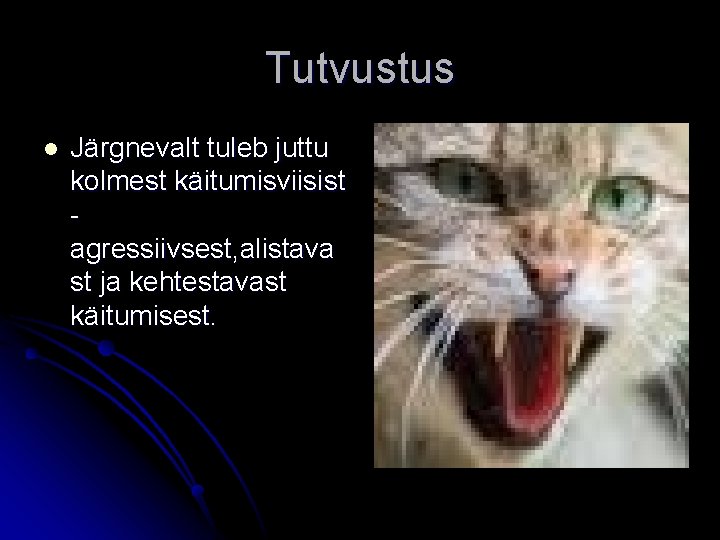 Tutvustus l Järgnevalt tuleb juttu kolmest käitumisviisist agressiivsest, alistava st ja kehtestavast käitumisest. 