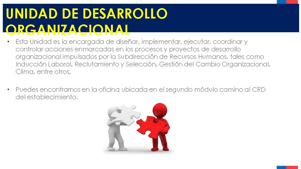 UNIDAD DE DESARROLLO ORGANIZACIONAL • Esta Unidad es la encargada de diseñar, implementar, ejecutar,