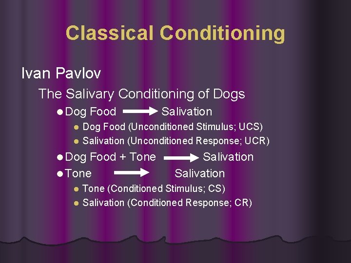 Classical Conditioning Ivan Pavlov The Salivary Conditioning of Dogs l Dog Food Salivation l