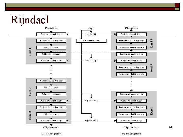 Rijndael 61 