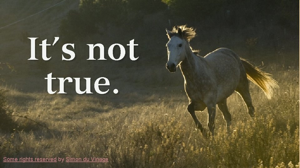 It’s not true. Some rights reserved by Simon du Vinage 