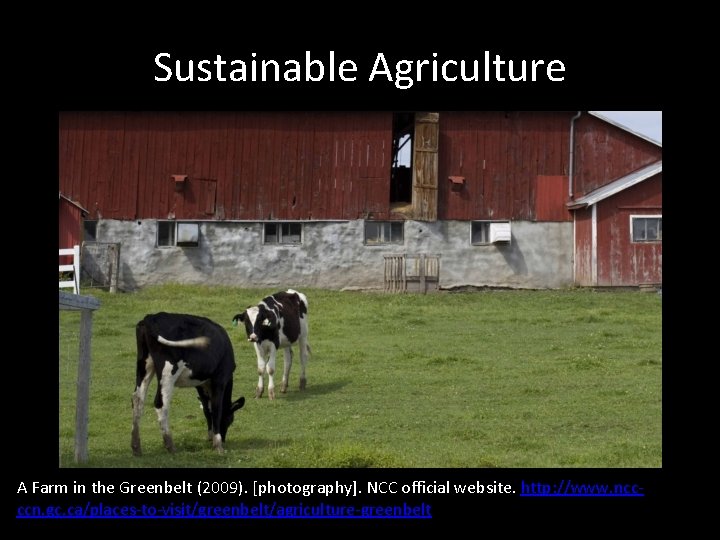 Sustainable Agriculture A Farm in the Greenbelt (2009). [photography]. NCC official website. http: //www.