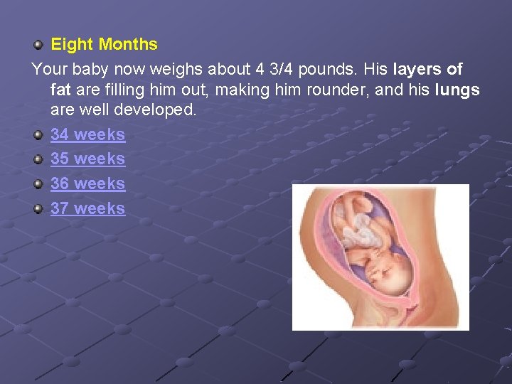 Eight Months Your baby now weighs about 4 3/4 pounds. His layers of fat