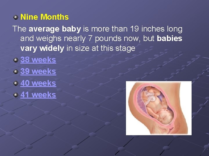 Nine Months The average baby is more than 19 inches long and weighs nearly