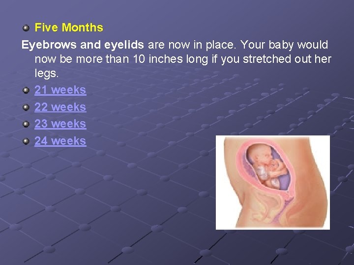 Five Months Eyebrows and eyelids are now in place. Your baby would now be