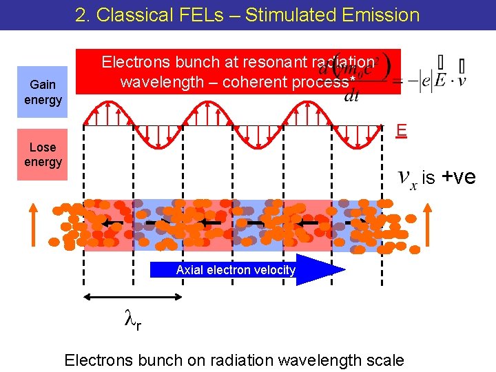 2. Classical FELs – Stimulated Emission Gain energy Electrons bunch at resonant radiation wavelength