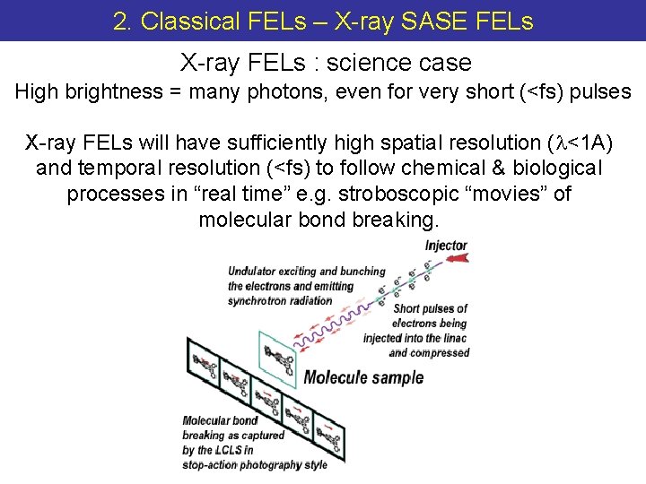 2. Classical FELs – X-ray SASE FELs X-ray FELs : science case High brightness