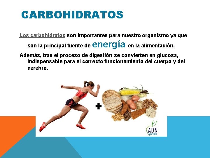 CARBOHIDRATOS Los carbohidratos son importantes para nuestro organismo ya que son la principal fuente