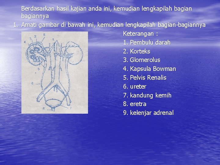 Berdasarkan hasil kajian anda ini, kemudian lengkapilah bagiannya 1. Amati gambar di bawah ini,