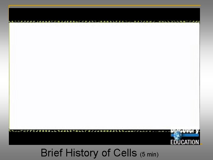 Brief History of Cells (5 min) 