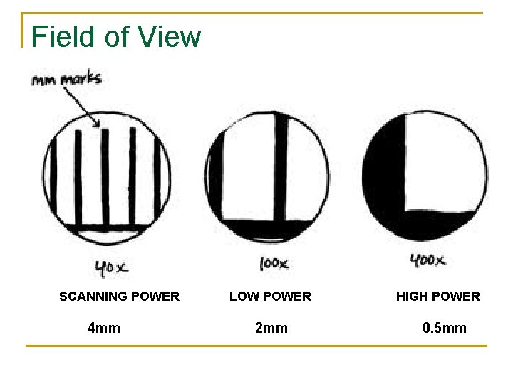 Field of View SCANNING POWER LOW POWER HIGH POWER 4 mm 2 mm 0.