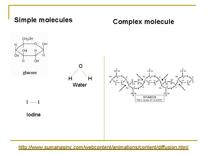 Simple molecules Complex molecule O H H Water I I Iodine http: //www. sumanasinc.