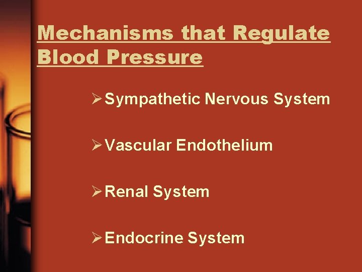 Mechanisms that Regulate Blood Pressure Ø Sympathetic Nervous System Ø Vascular Endothelium Ø Renal