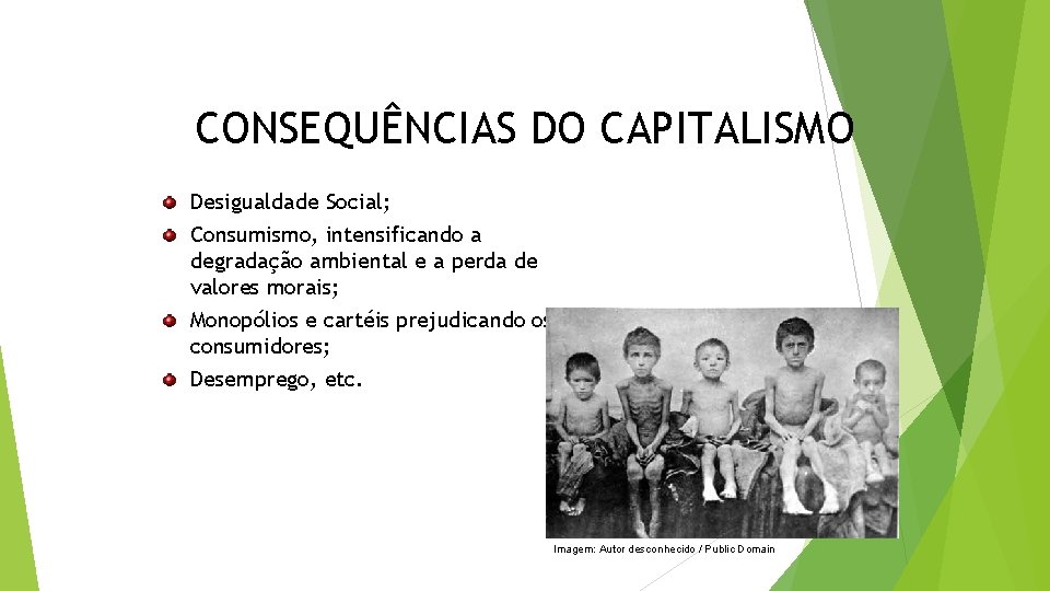 GEOGRAFIA , 3ª Série Origem e Características do Capitalismo CONSEQUÊNCIAS DO CAPITALISMO Desigualdade Social;
